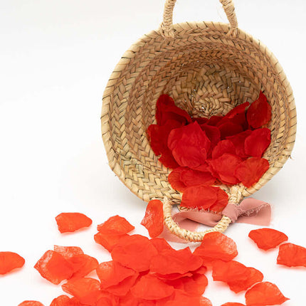 Cesto para Niños de Arras Cesto + Circulo Nombre + 250 Pétalos Papel Seda