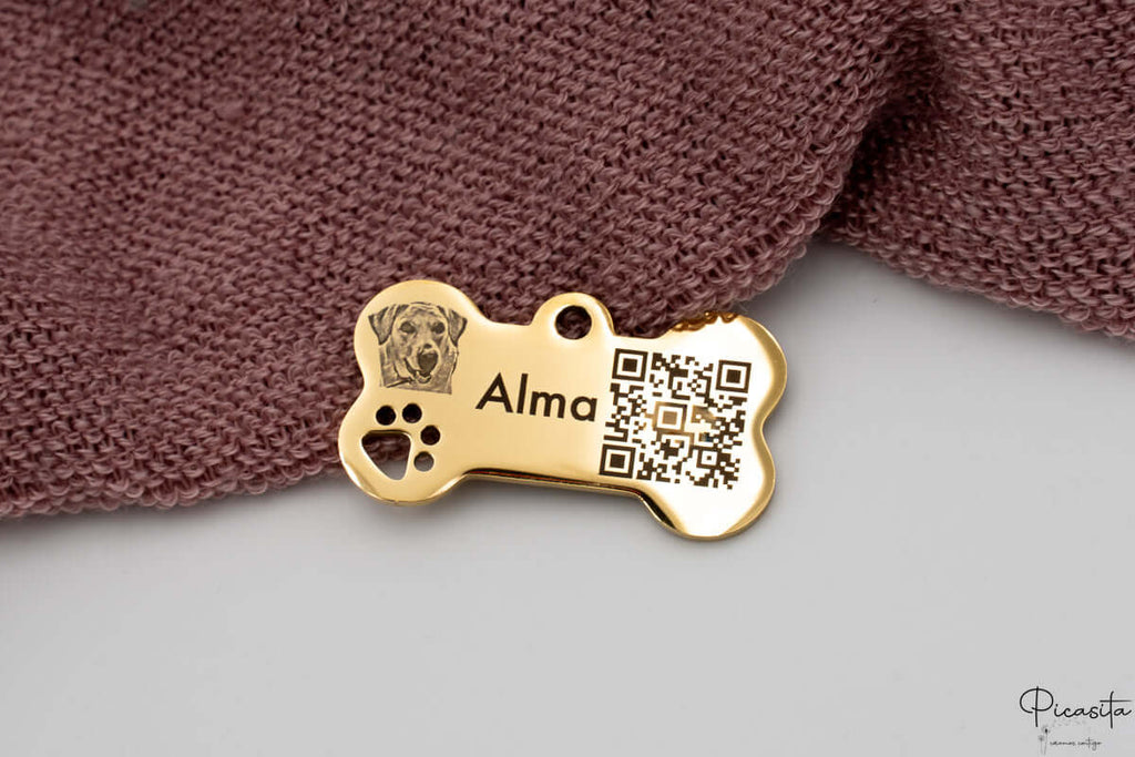 Chapa para Perro con QR Inteligente Dorado 40mm x 22mm