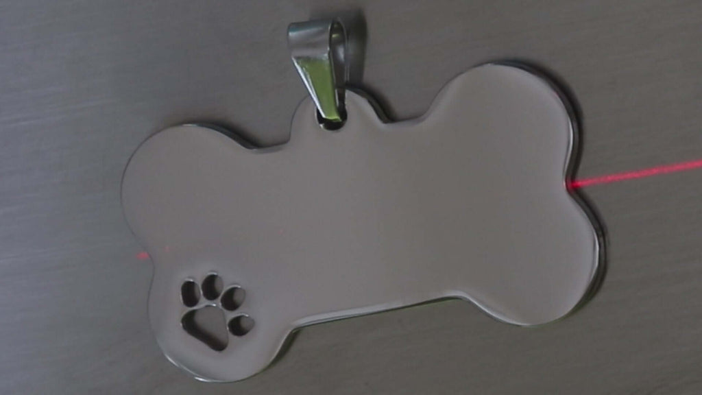 Medaglietta per cane con QR intelligente